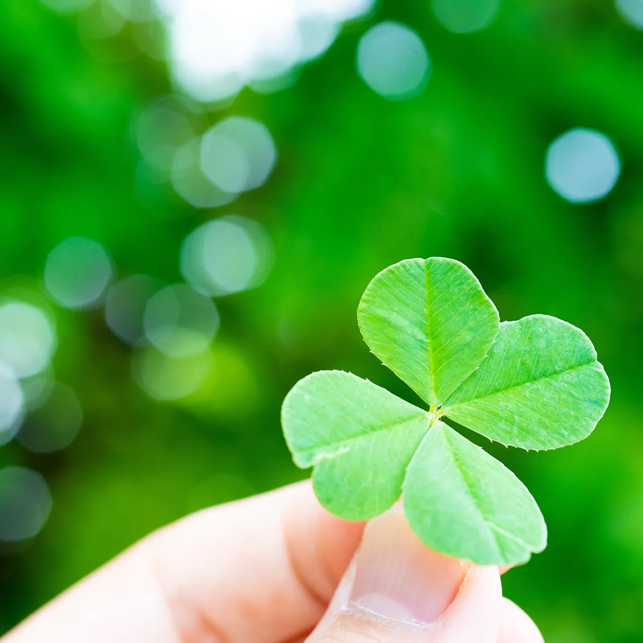 私たちについて